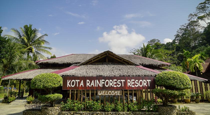 kotarainforest